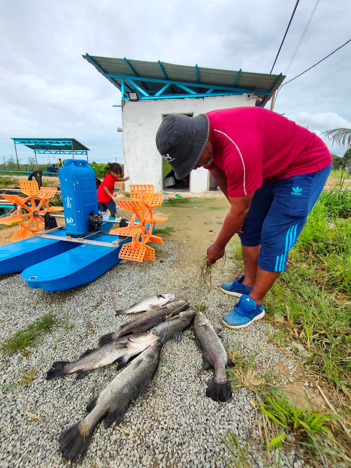 De'Fish Fishing Park