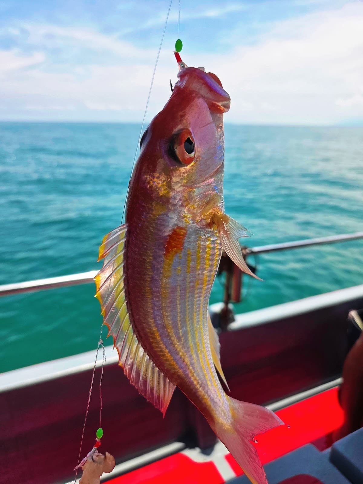 SOON COASTAL FISHING