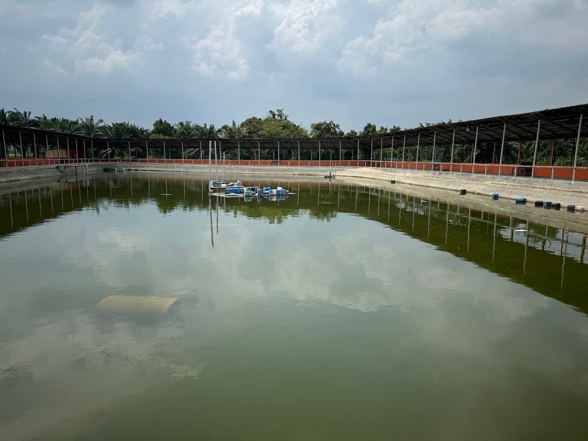 Kolam Pancing Fish Garden 2
