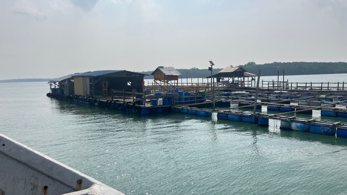 TIONG FISHING HOUSE