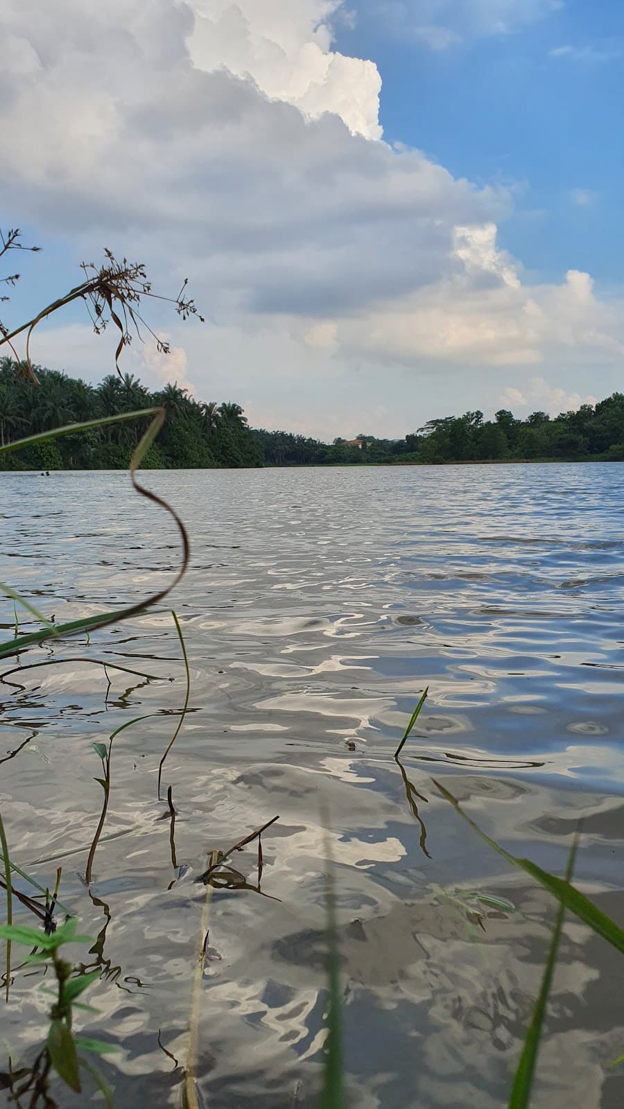 Fishing Point