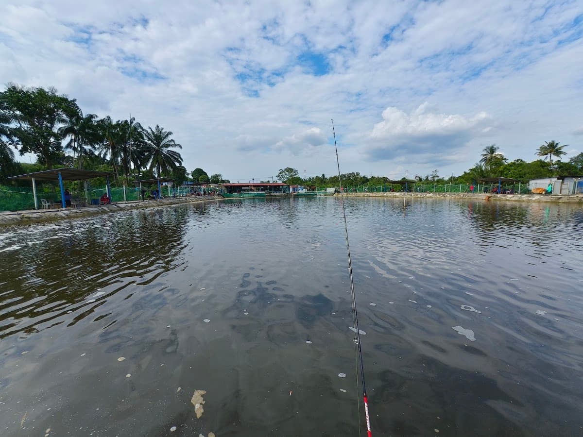 P&L Kolam Pancing