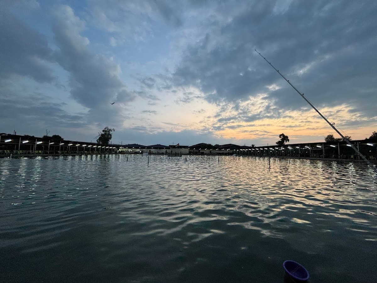 Sealion Fishing Park KOLAM 3A(AAA)