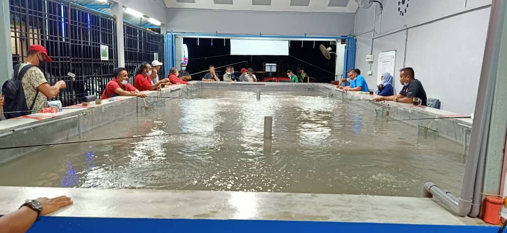 Pusat Memancing Udang Galah TikTokBP