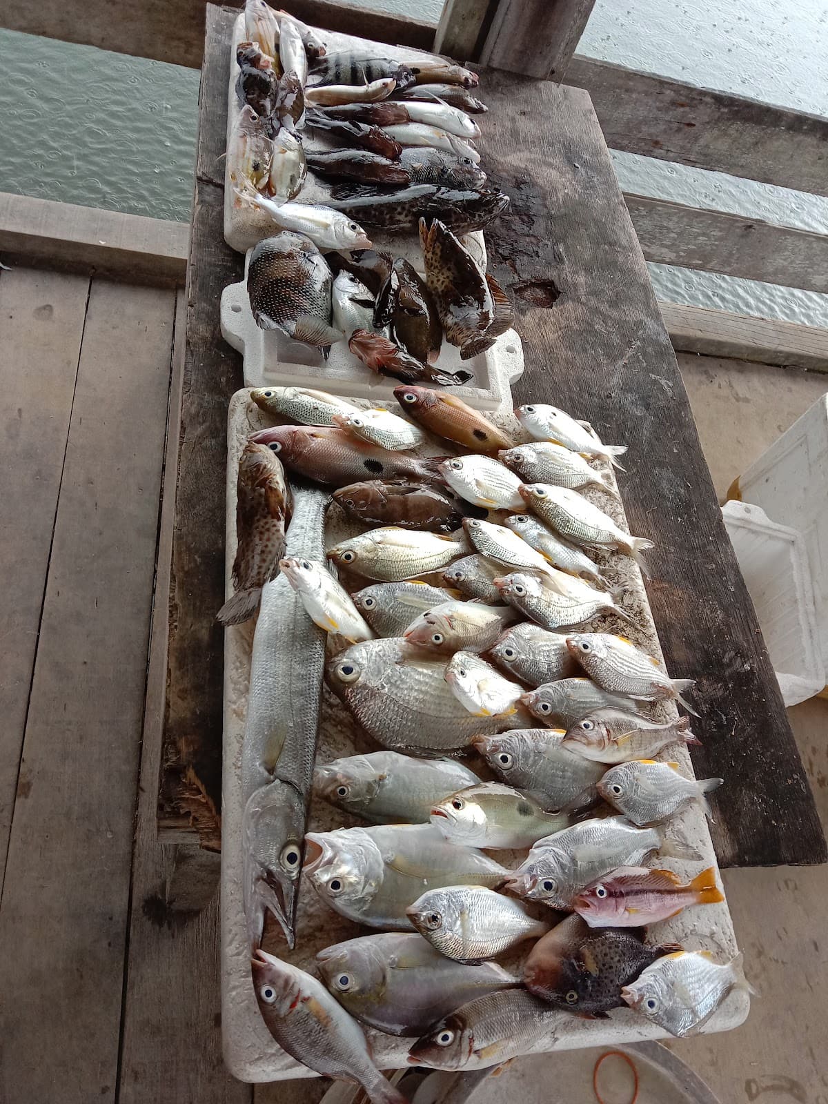 Pengkalan Setinah Fishing Port